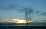 Tule fog sunrise