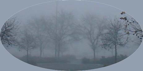 fog2