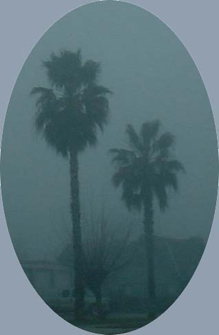 fog3