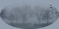 fog2