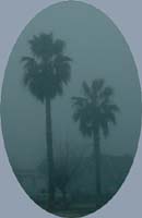 fog3