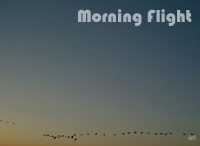 As the sun rises
