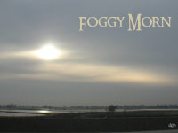 One morning on the way to work...