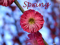 One day in Spring...