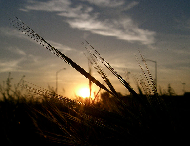 05